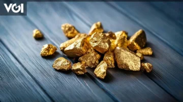 695 مليون روبية.. جمارك سوكرنو هاتا تجمع رسوم خروج شحنات صادرات الذهب